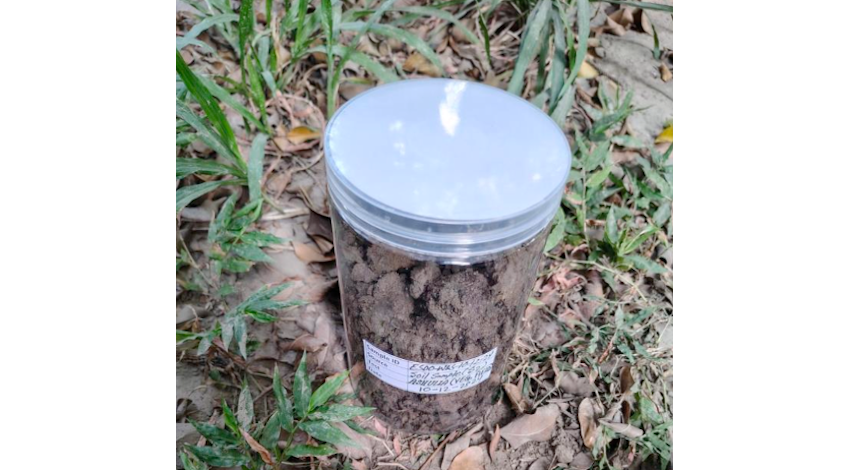Soil sample on vegetable field in Ashulia