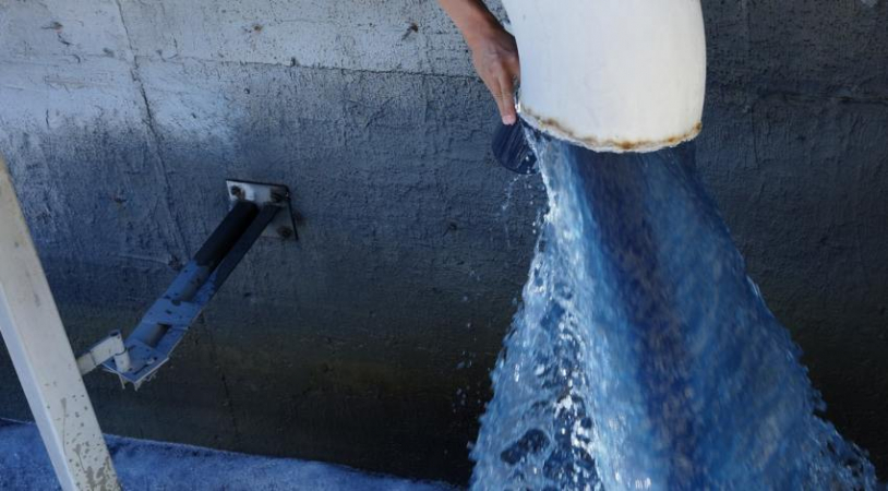 Water contaminated with a blue color runs out of a building